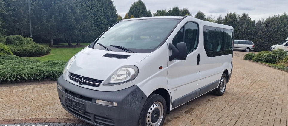 Opel Vivaro cena 27900 przebieg: 250000, rok produkcji 2005 z Świecie małe 154